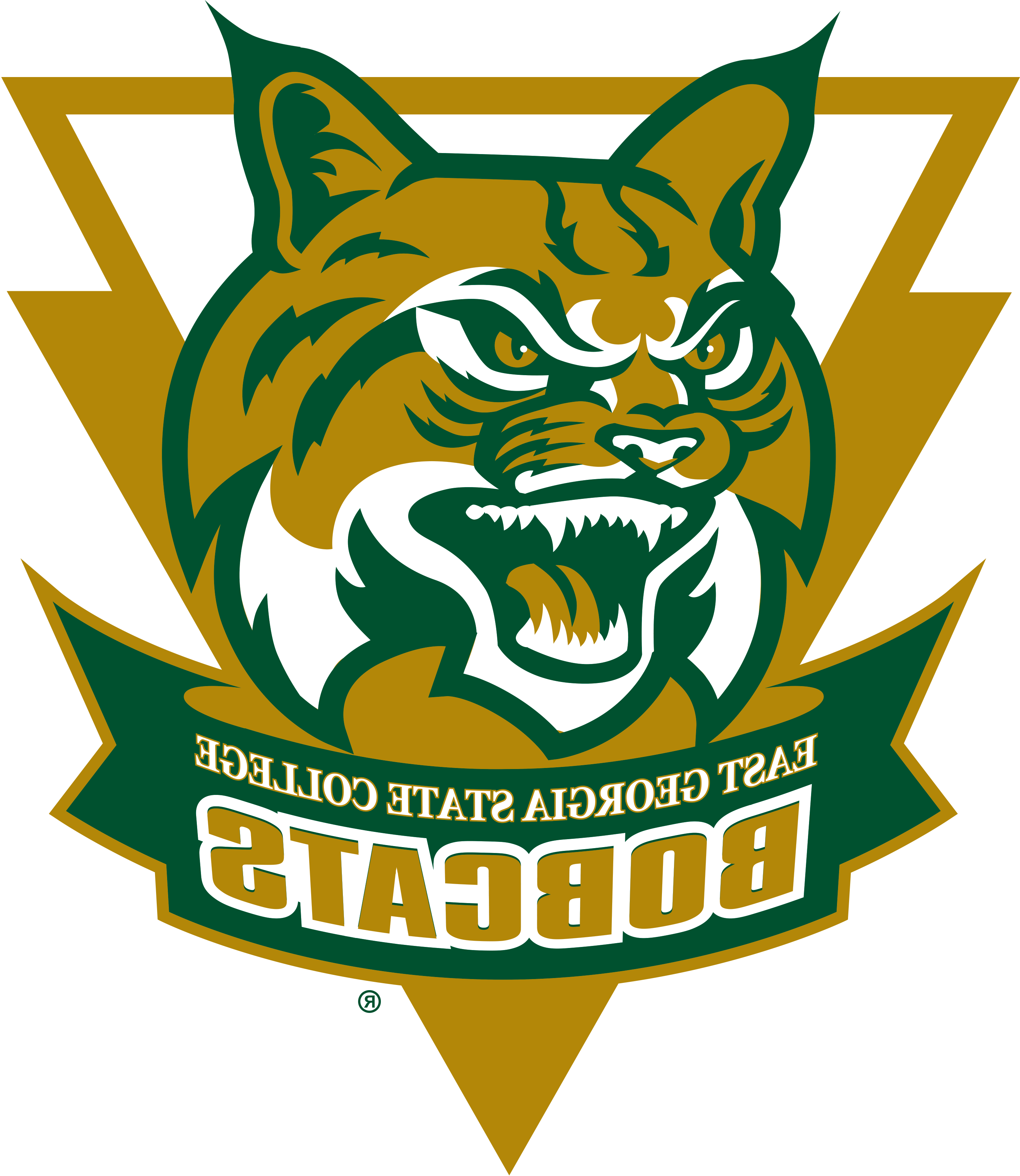 体育运动 Logo Bobcat Banner